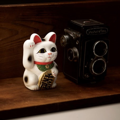 "Tokoname ware" Koban Cat